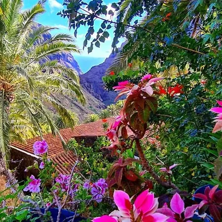Ocean View Tenerife *